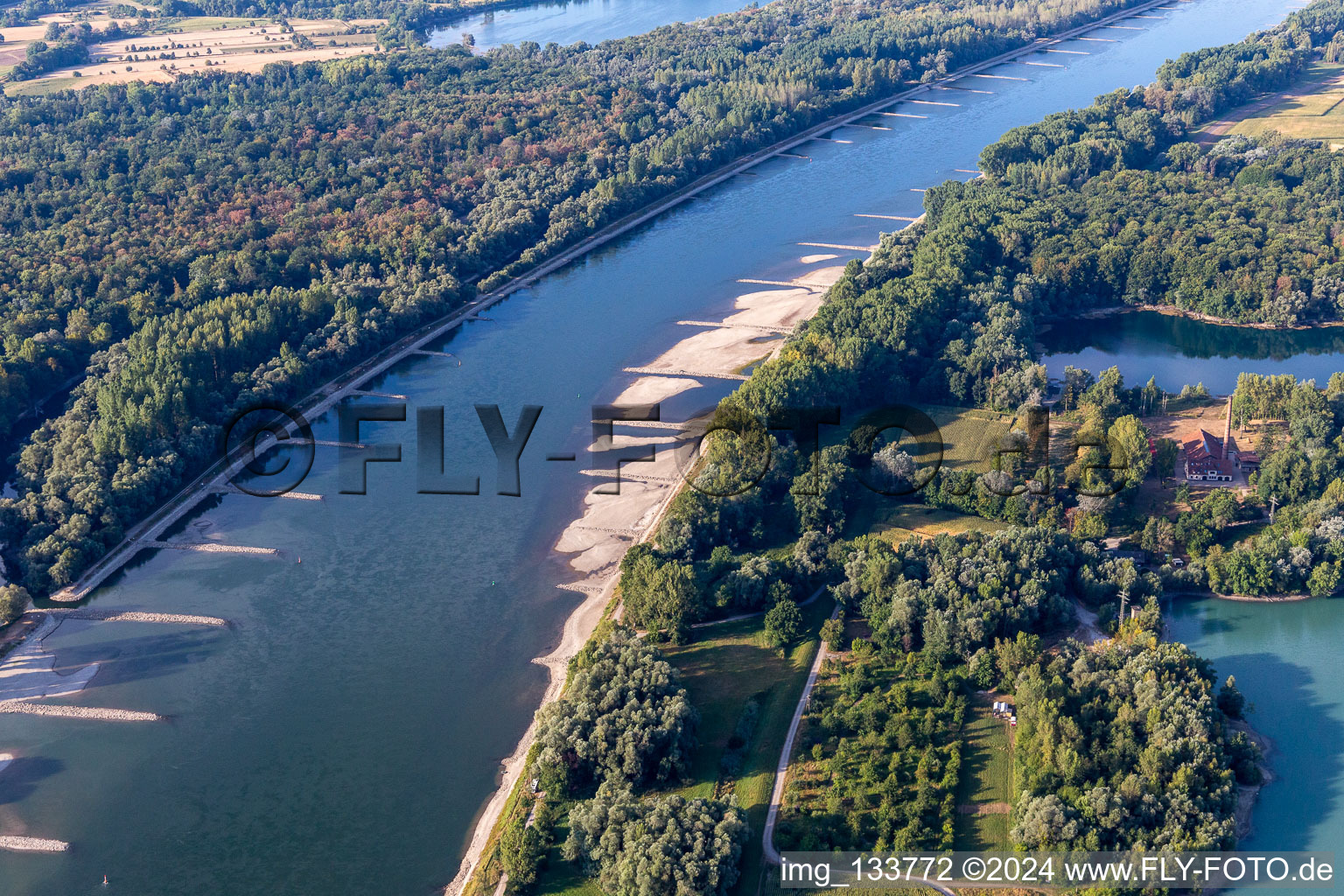 Dry groynes and sandbanks in the Rhine due to low water in the district Neuburg in Neuburg am Rhein in the state Rhineland-Palatinate, Germany