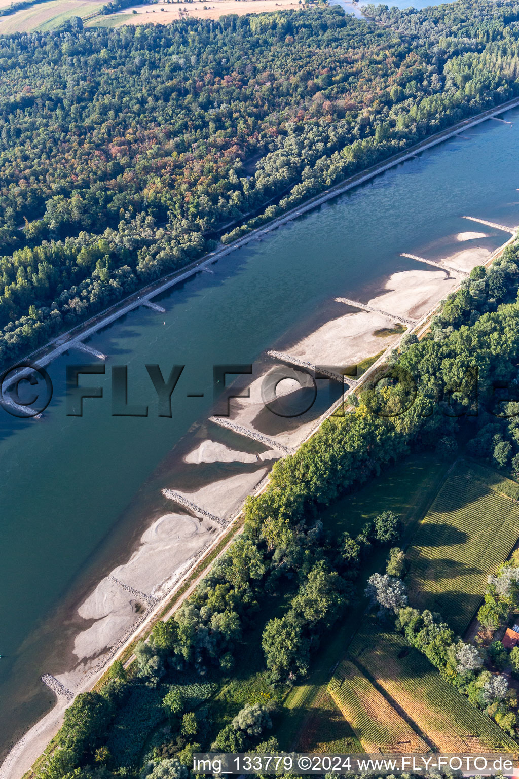Dry groynes and sand banks in the Rhine due to low water in Hagenbach in the state Rhineland-Palatinate, Germany