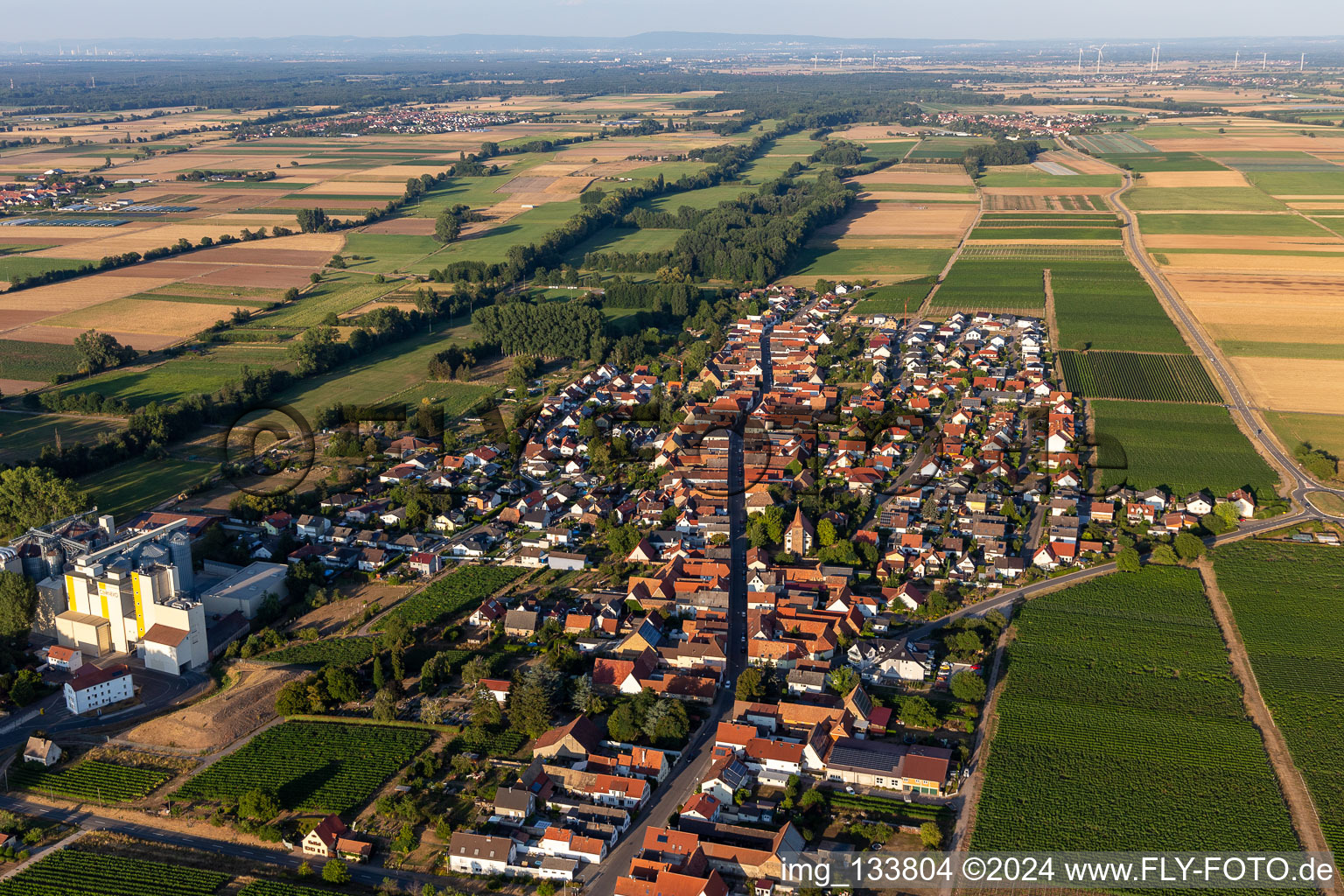 Aerial view of Grain mill of Cornexo GmbH in Freimersheim in the state Rhineland-Palatinate, Germany