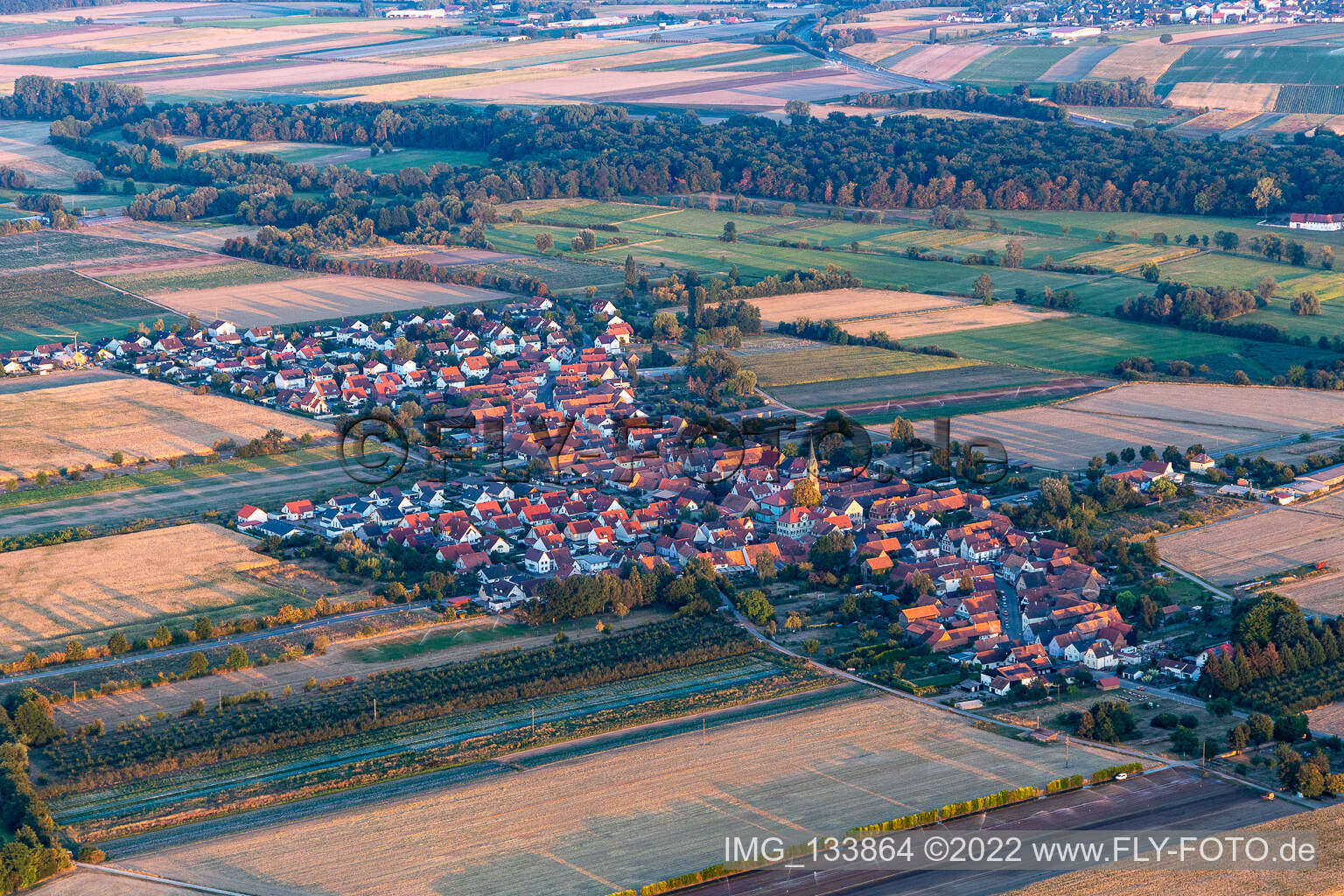 Bird's eye view of Erlenbach bei Kandel in the state Rhineland-Palatinate, Germany