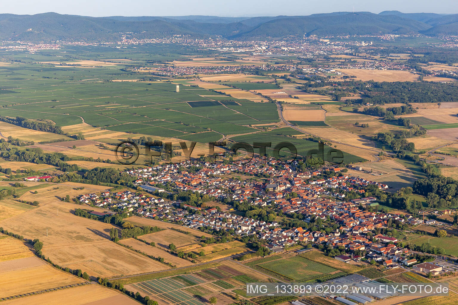Oblique view of District Geinsheim in Neustadt an der Weinstraße in the state Rhineland-Palatinate, Germany
