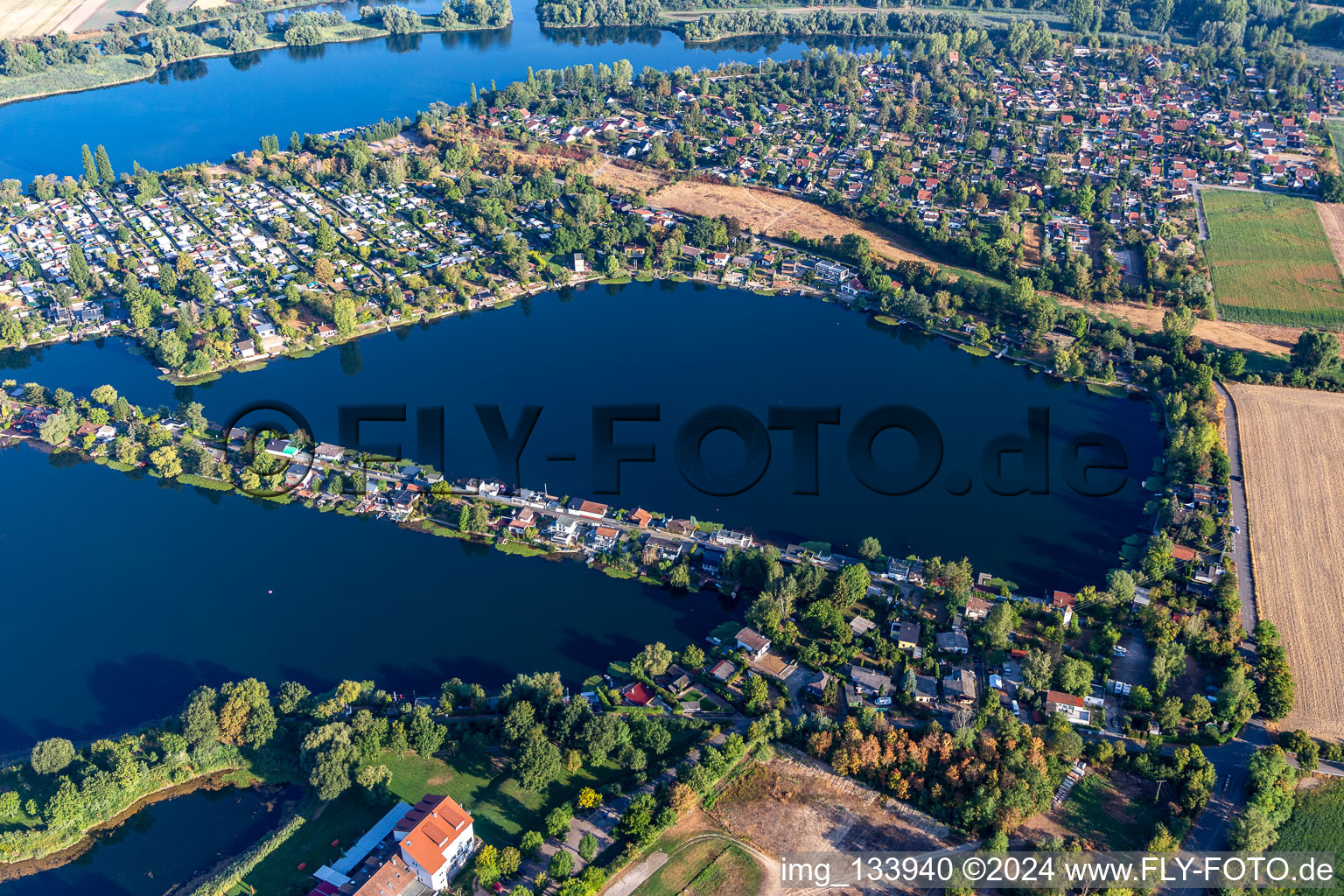 Blue Adriatic recreation area, swan pond in Altrip in the state Rhineland-Palatinate, Germany