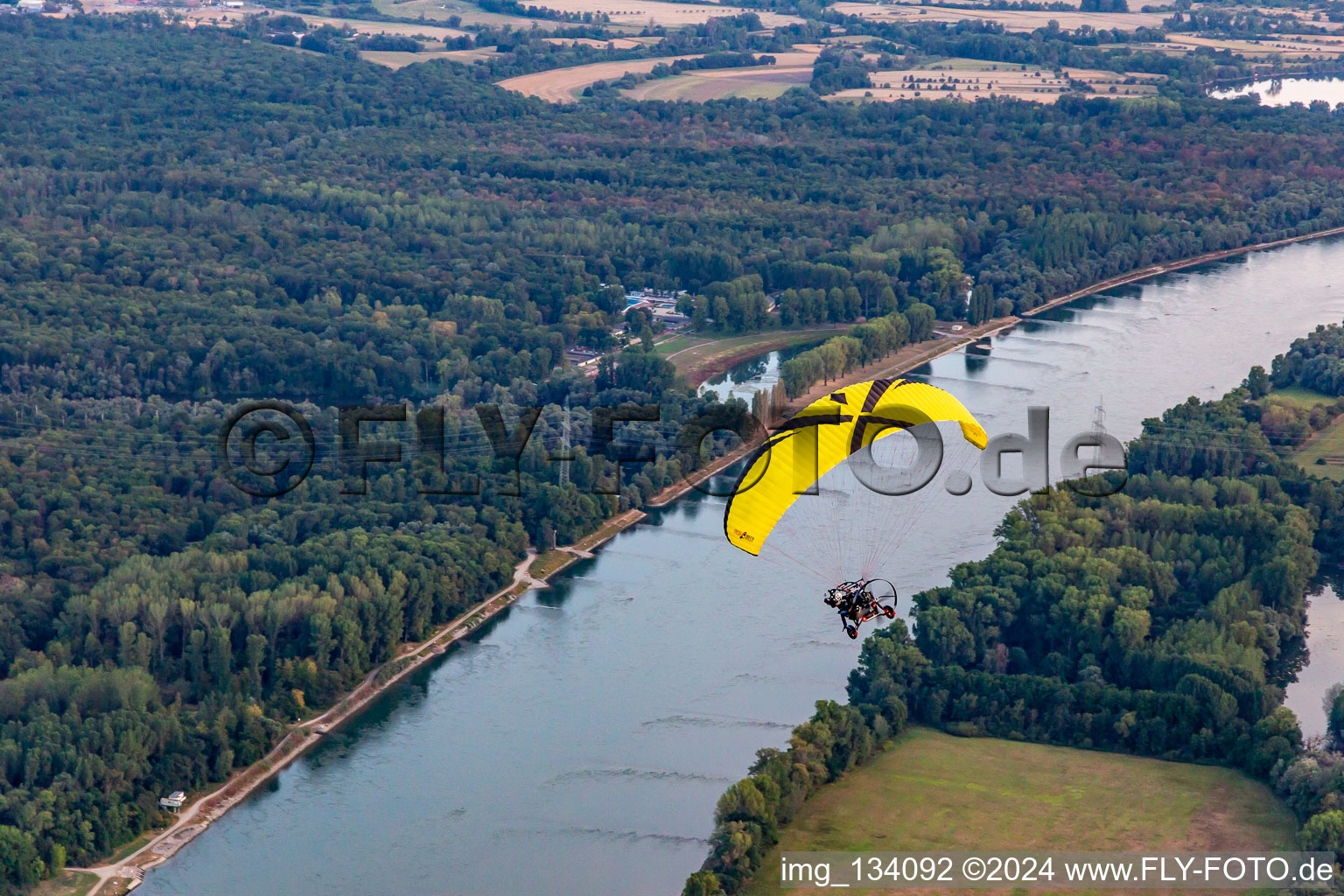 Gold background in the district Maximiliansau in Wörth am Rhein in the state Rhineland-Palatinate, Germany