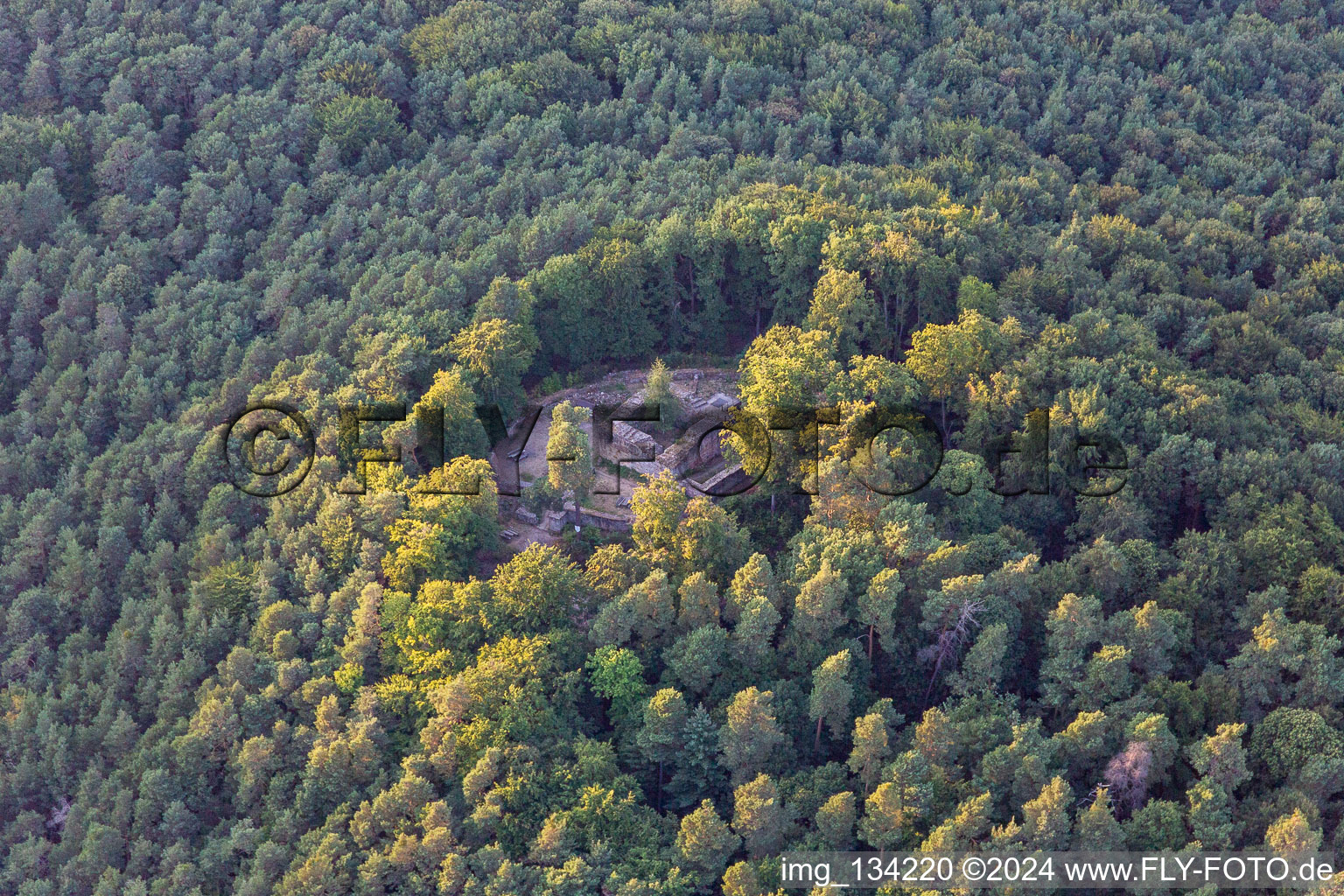 Waldschlössel in Klingenmünster in the state Rhineland-Palatinate, Germany