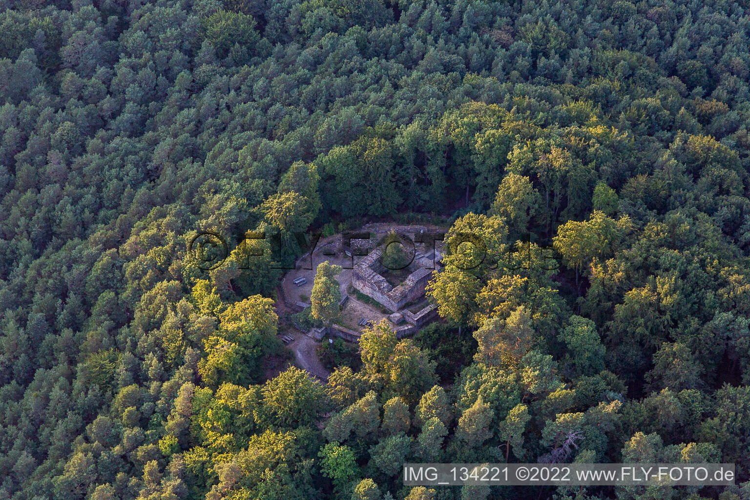 Aerial view of Forest castle in Klingenmünster in the state Rhineland-Palatinate, Germany