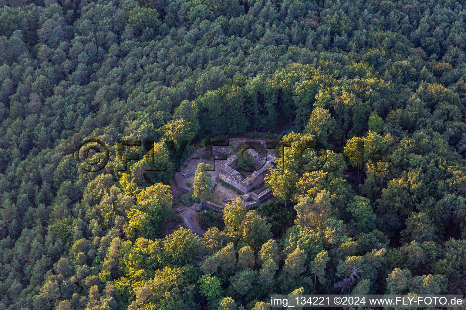 Aerial view of Forest castle in Klingenmünster in the state Rhineland-Palatinate, Germany