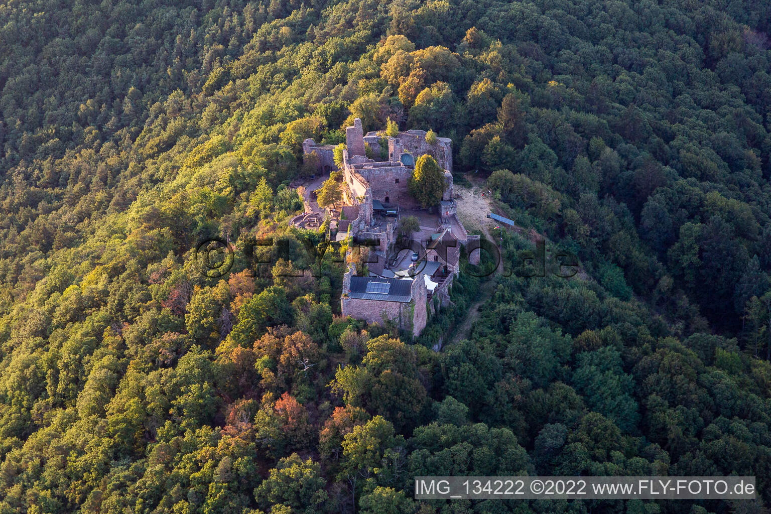 Madenburg in Eschbach in the state Rhineland-Palatinate, Germany from a drone