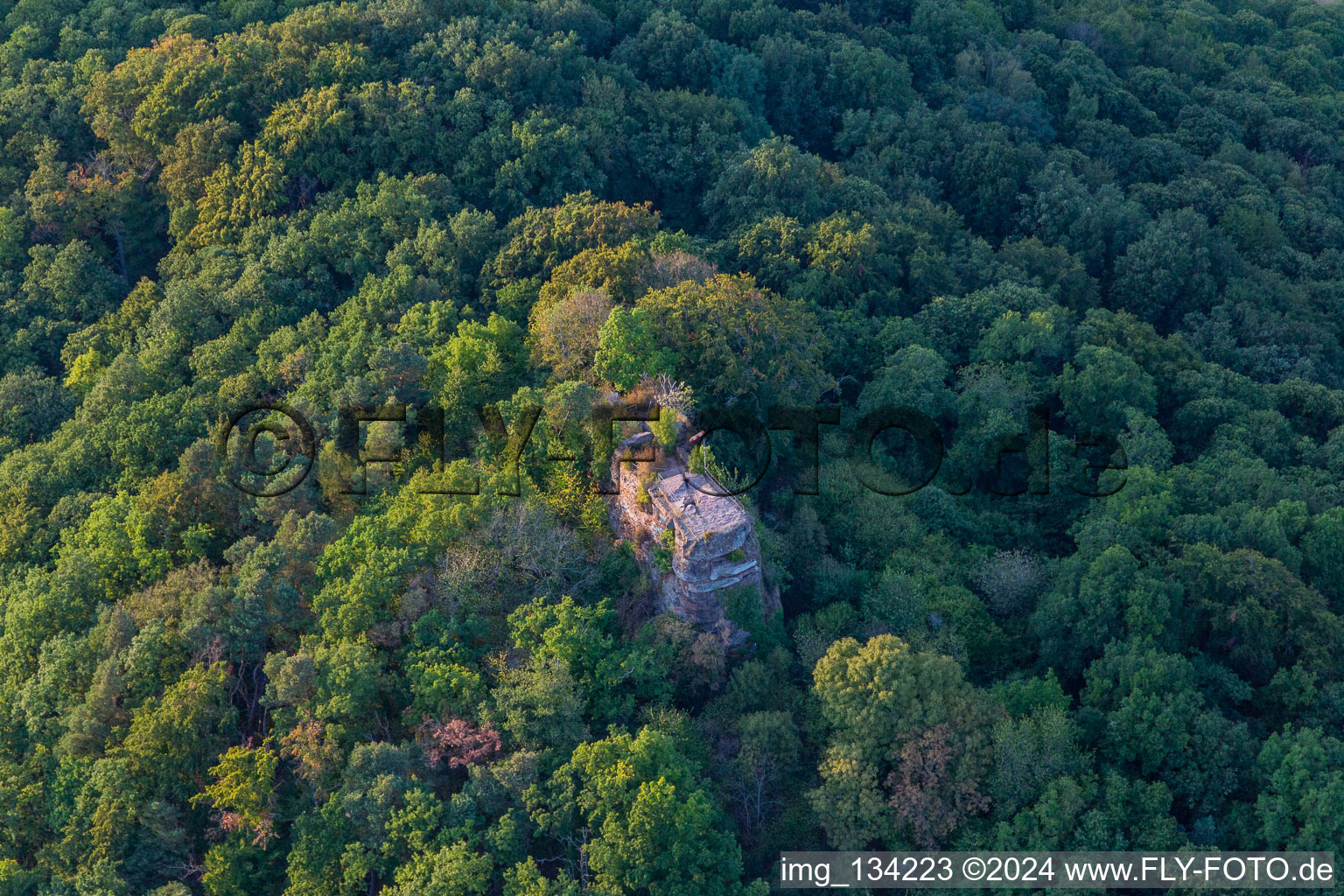 Neukastel Castle Ruins in Leinsweiler in the state Rhineland-Palatinate, Germany