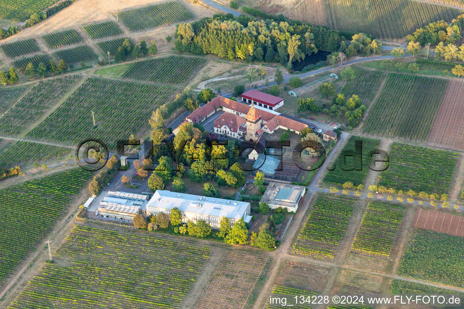 JKI Institute for Grapevine Breeding Geilweilerhof in Siebeldingen in the state Rhineland-Palatinate, Germany