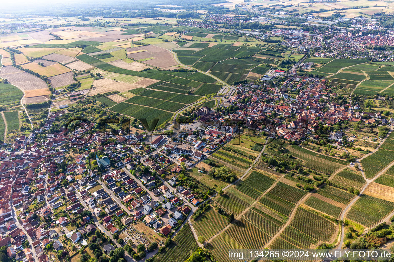 District Rechtenbach in Schweigen-Rechtenbach in the state Rhineland-Palatinate, Germany seen from a drone