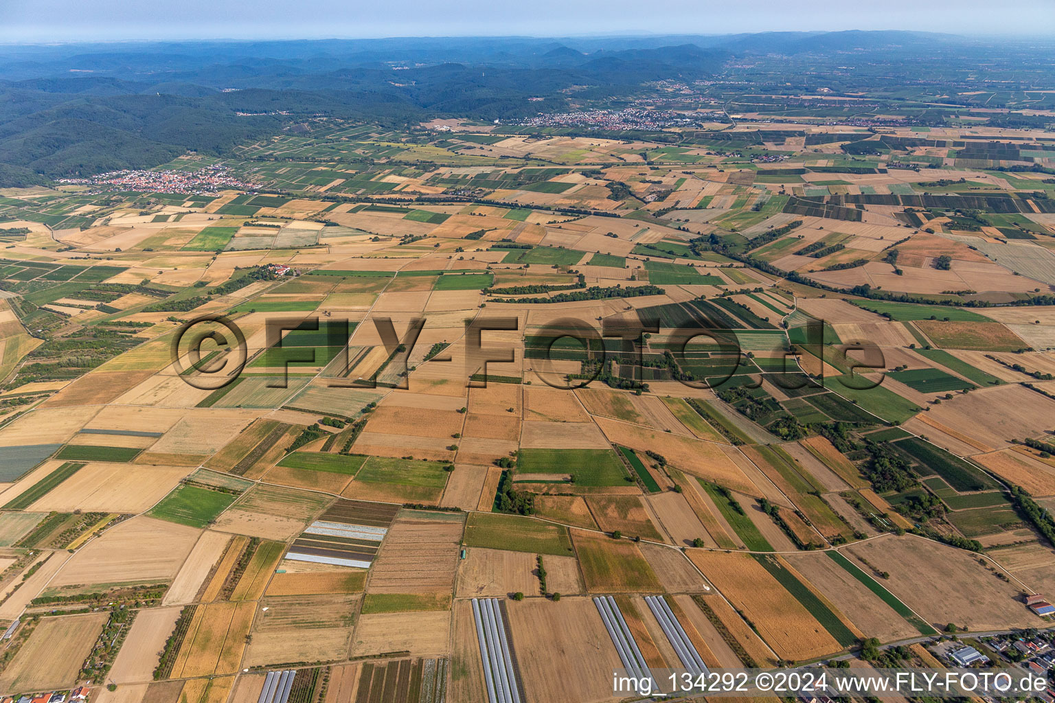 Burnt Southern Palatinate in Schweighofen in the state Rhineland-Palatinate, Germany