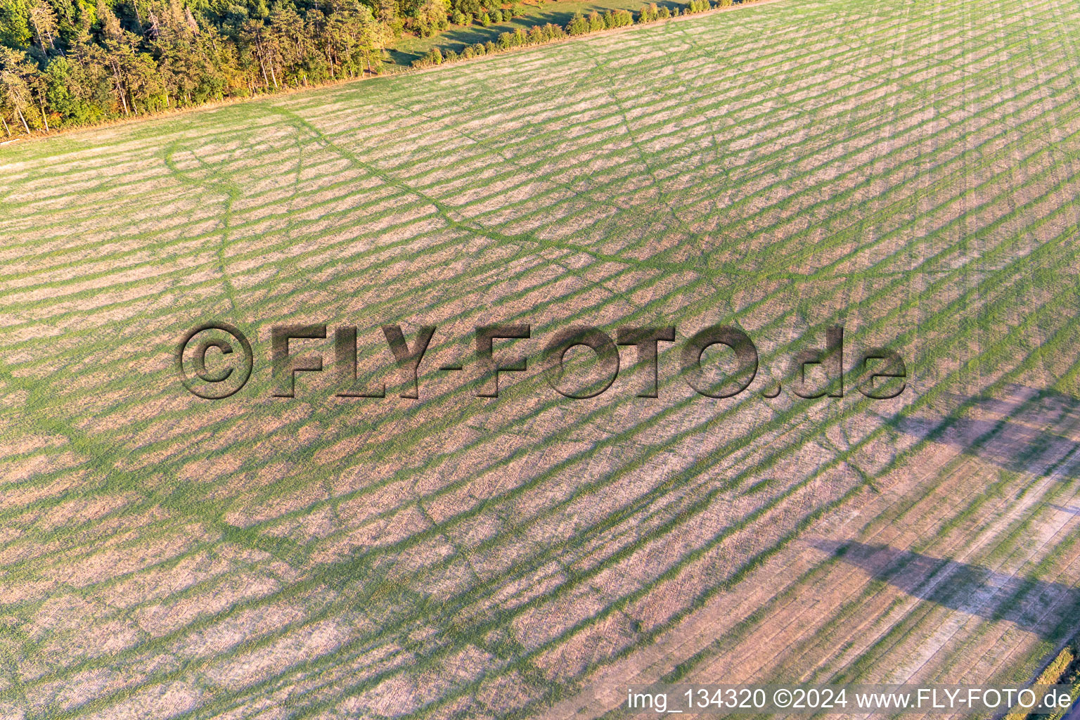 Field structures in Germay in the state Haute Marne, France