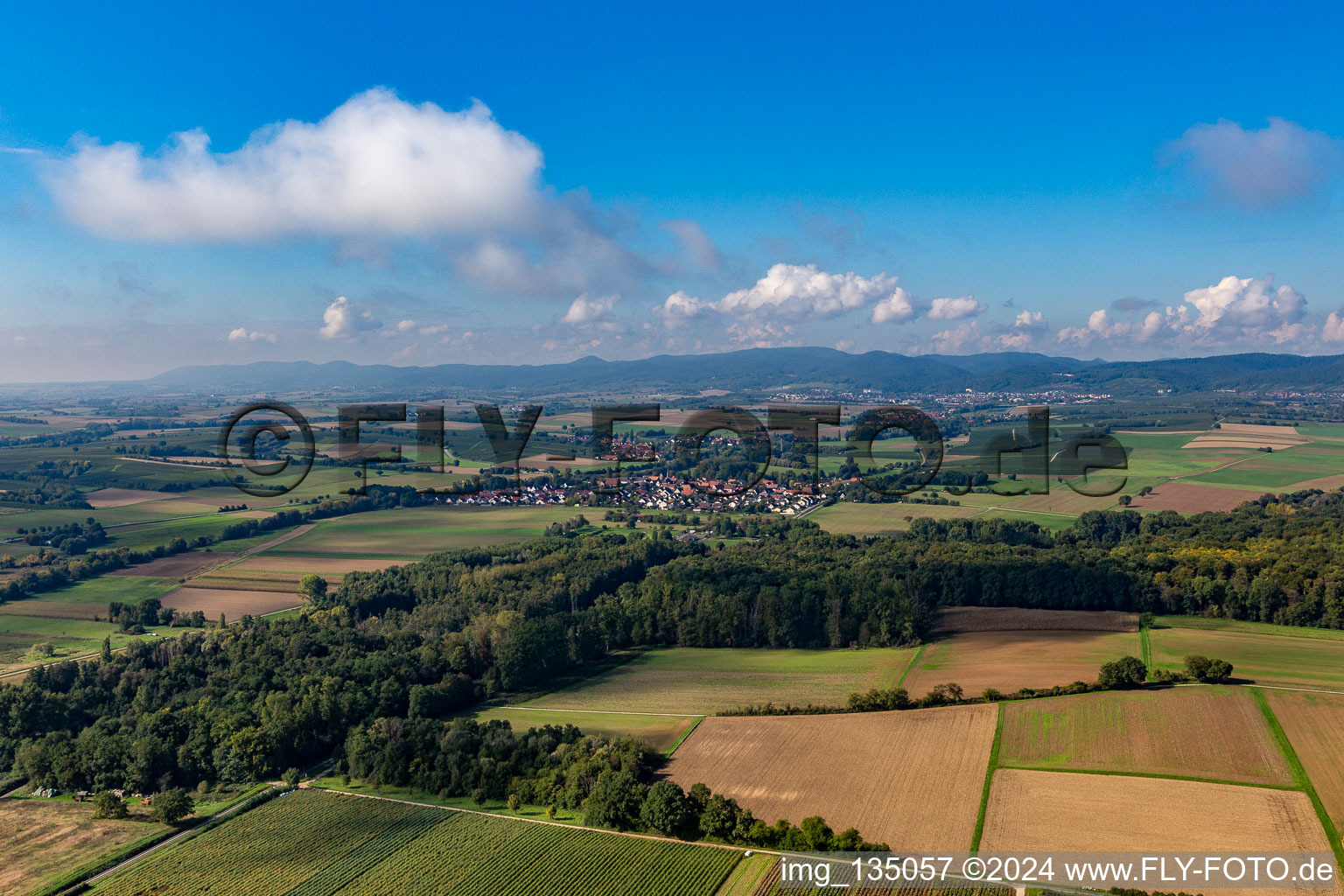 Drone recording of District Mühlhofen in Billigheim-Ingenheim in the state Rhineland-Palatinate, Germany