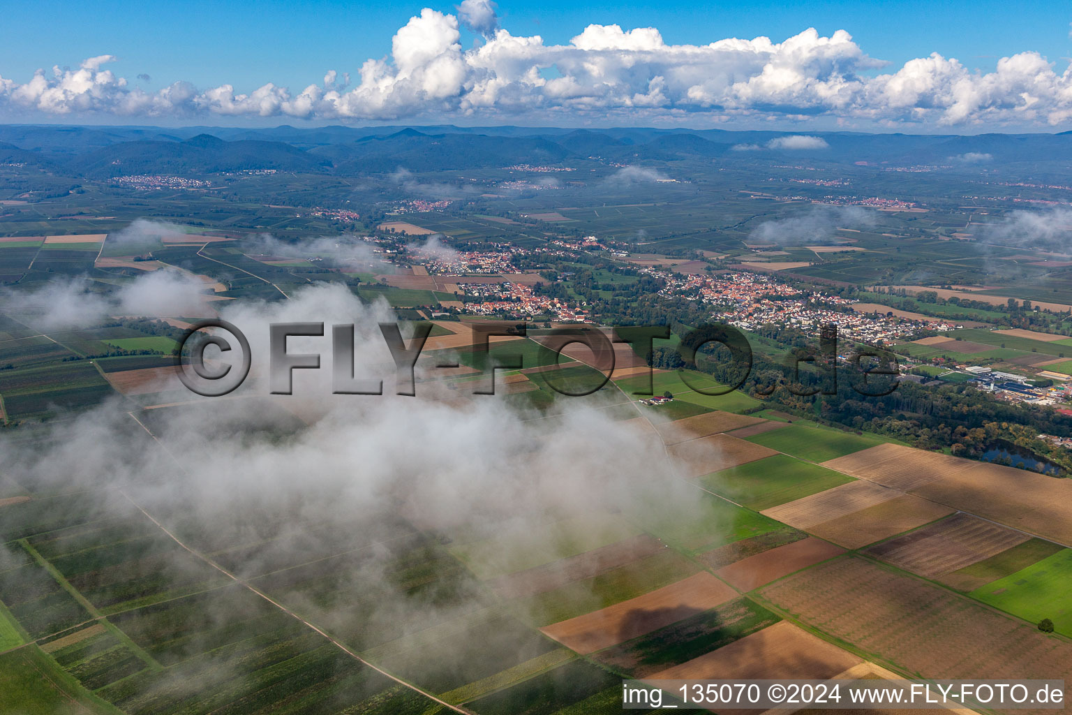 District Billigheim in Billigheim-Ingenheim in the state Rhineland-Palatinate, Germany viewn from the air