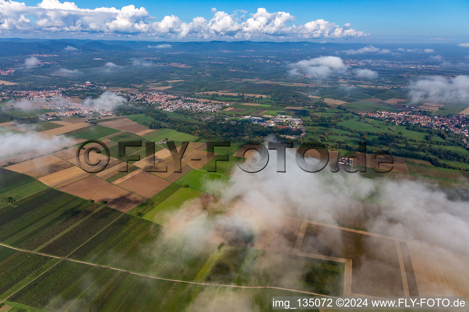 Drone recording of District Billigheim in Billigheim-Ingenheim in the state Rhineland-Palatinate, Germany