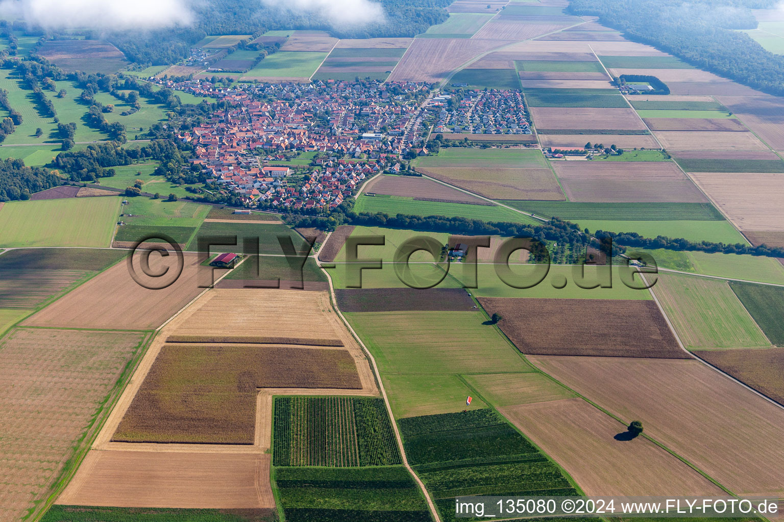 Oblique view of Steinweiler in the state Rhineland-Palatinate, Germany