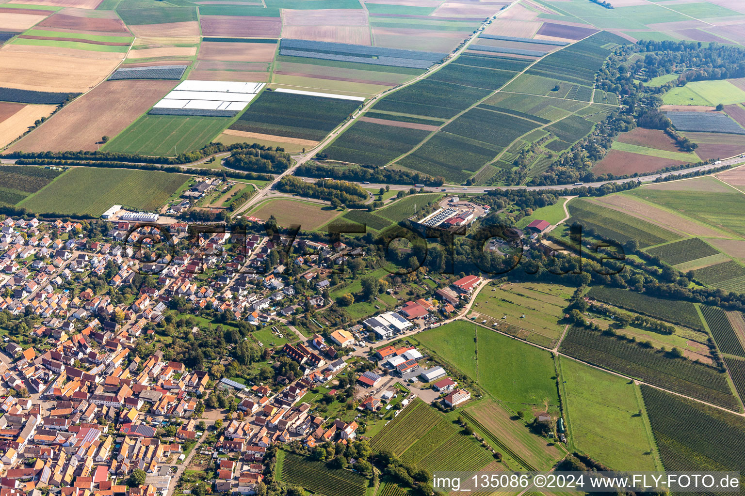 Insheim in the state Rhineland-Palatinate, Germany from the drone perspective