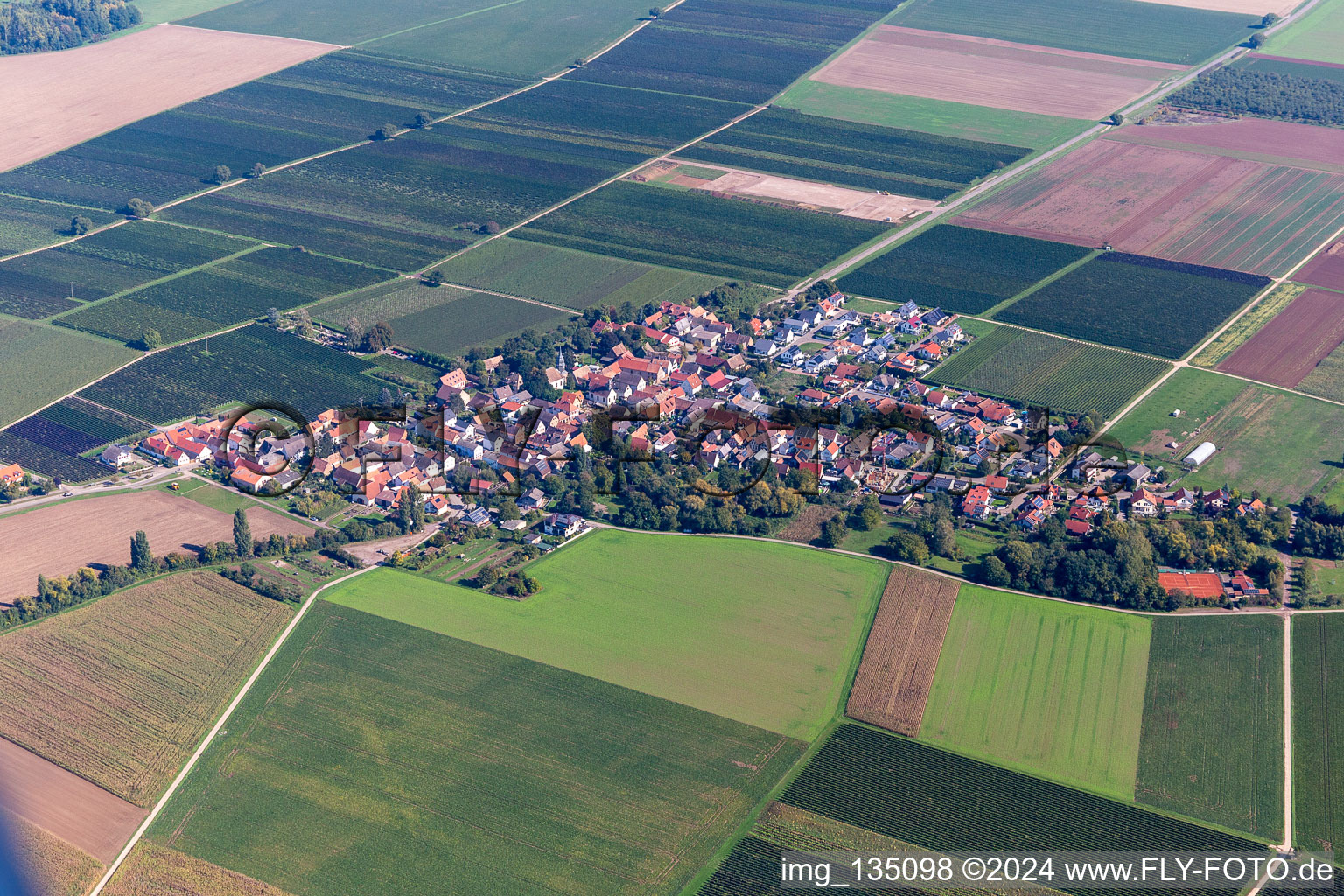 Kleinfischlingen in the state Rhineland-Palatinate, Germany from a drone