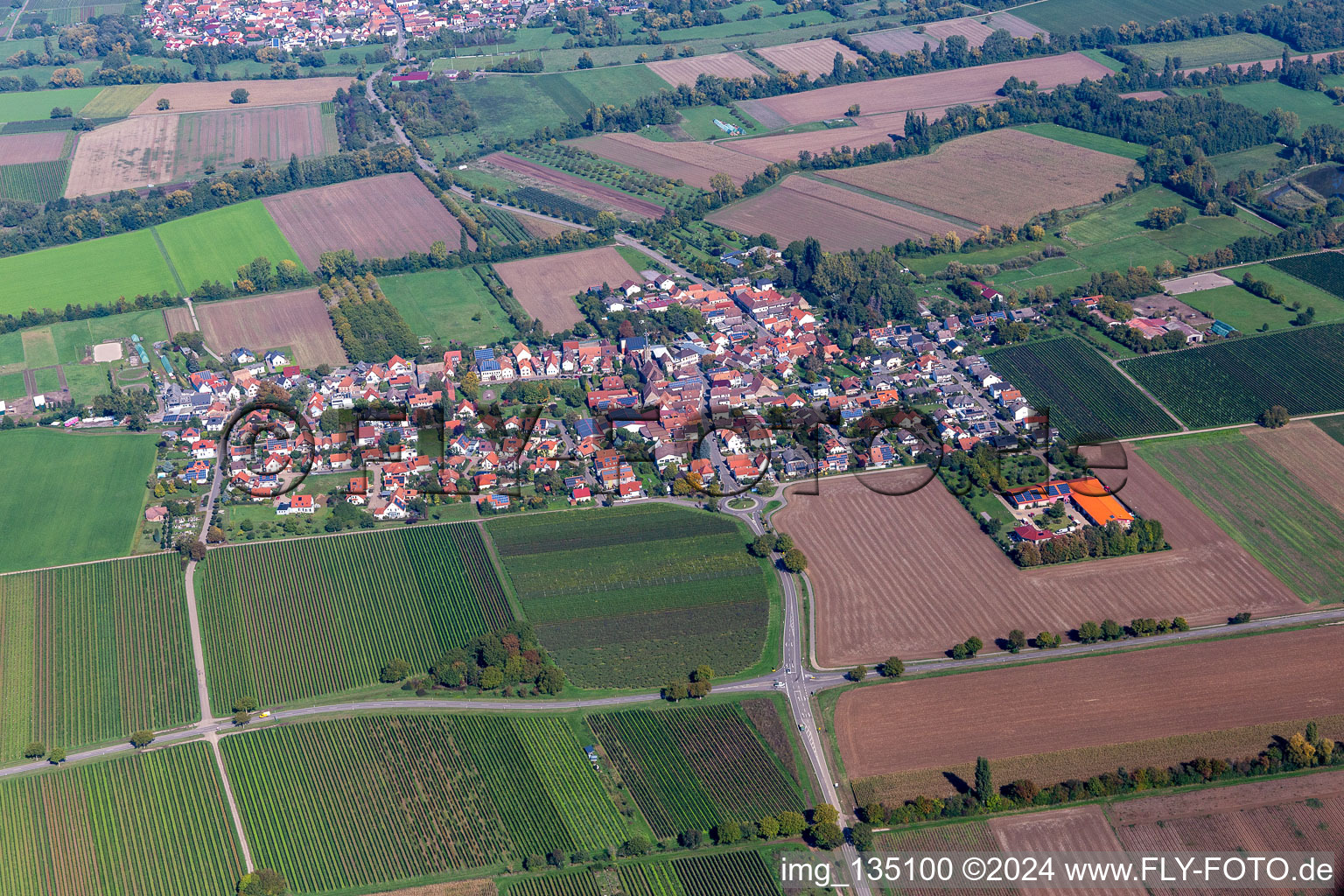 Großfischlingen in the state Rhineland-Palatinate, Germany seen from a drone