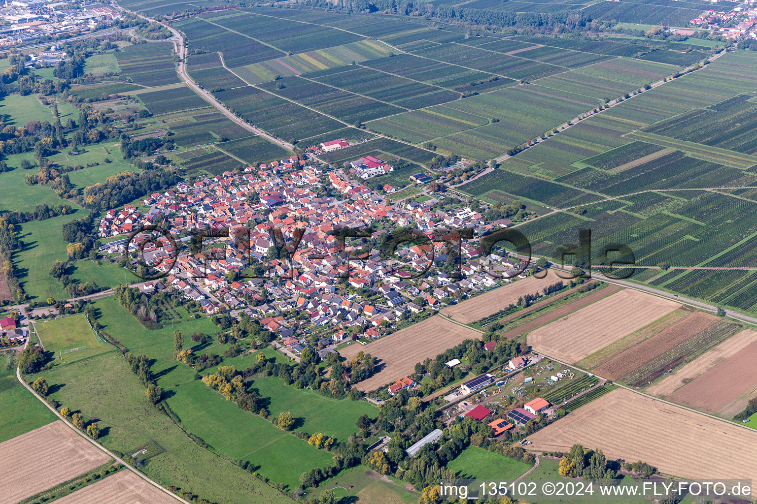 Bird's eye view of Venningen in the state Rhineland-Palatinate, Germany