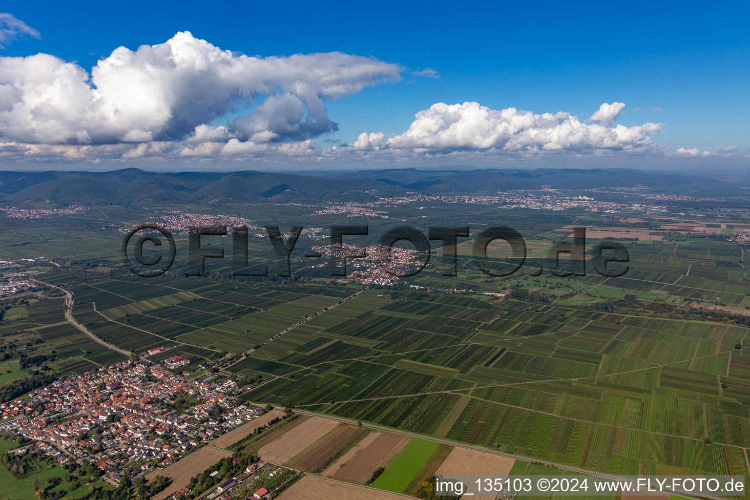 Drone image of Kirrweiler in the state Rhineland-Palatinate, Germany