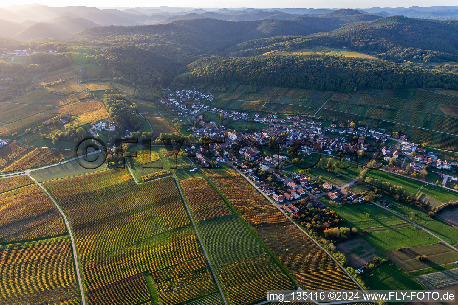 Drone image of District Pleisweiler in Pleisweiler-Oberhofen in the state Rhineland-Palatinate, Germany