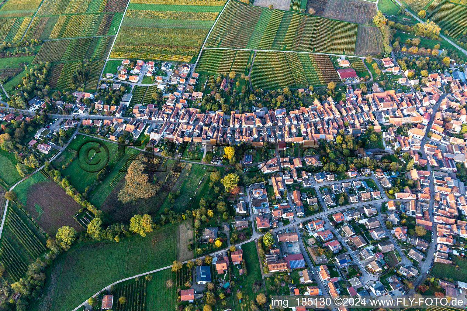 Oblique view of Göcklingen in the state Rhineland-Palatinate, Germany