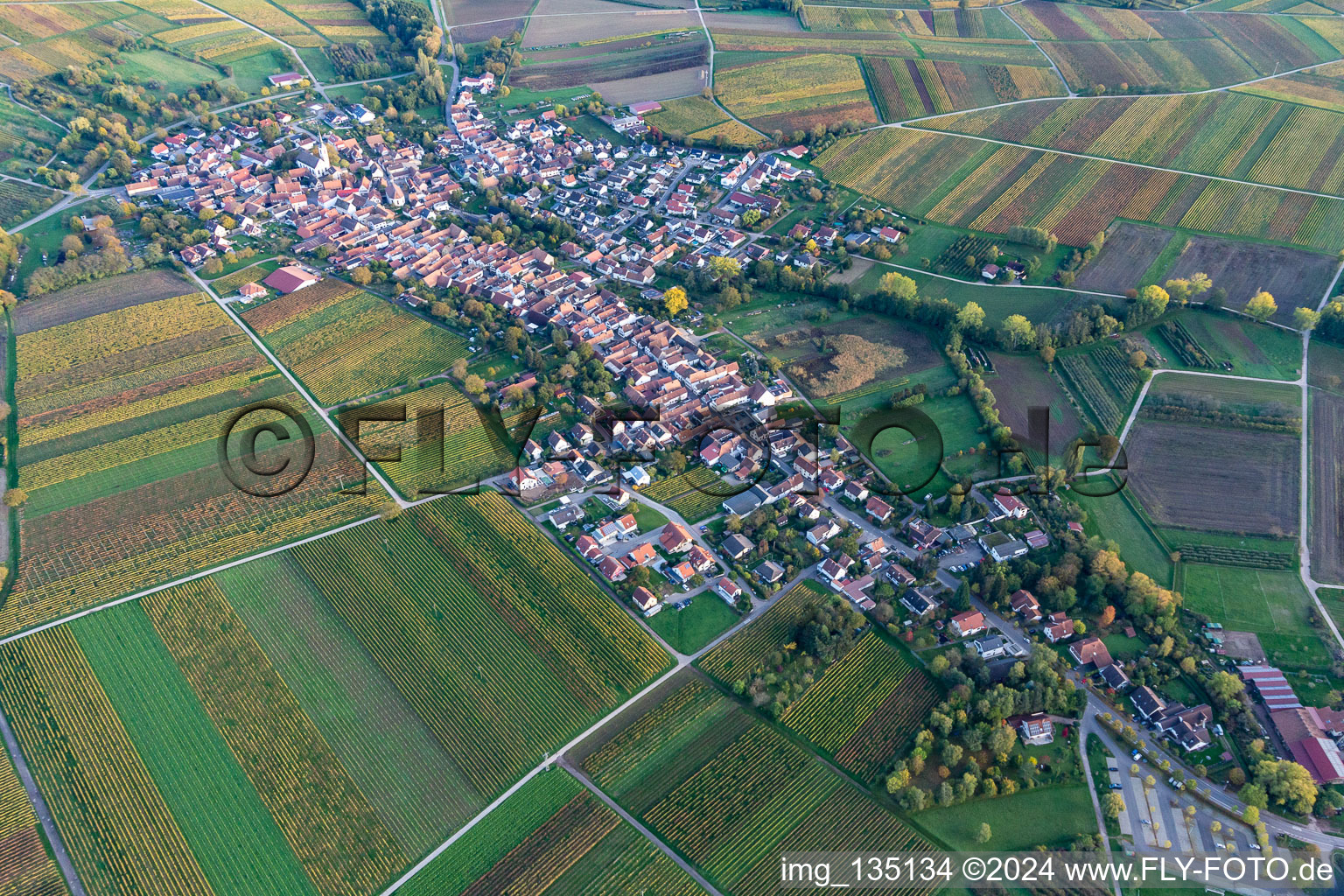 Göcklingen in the state Rhineland-Palatinate, Germany from above