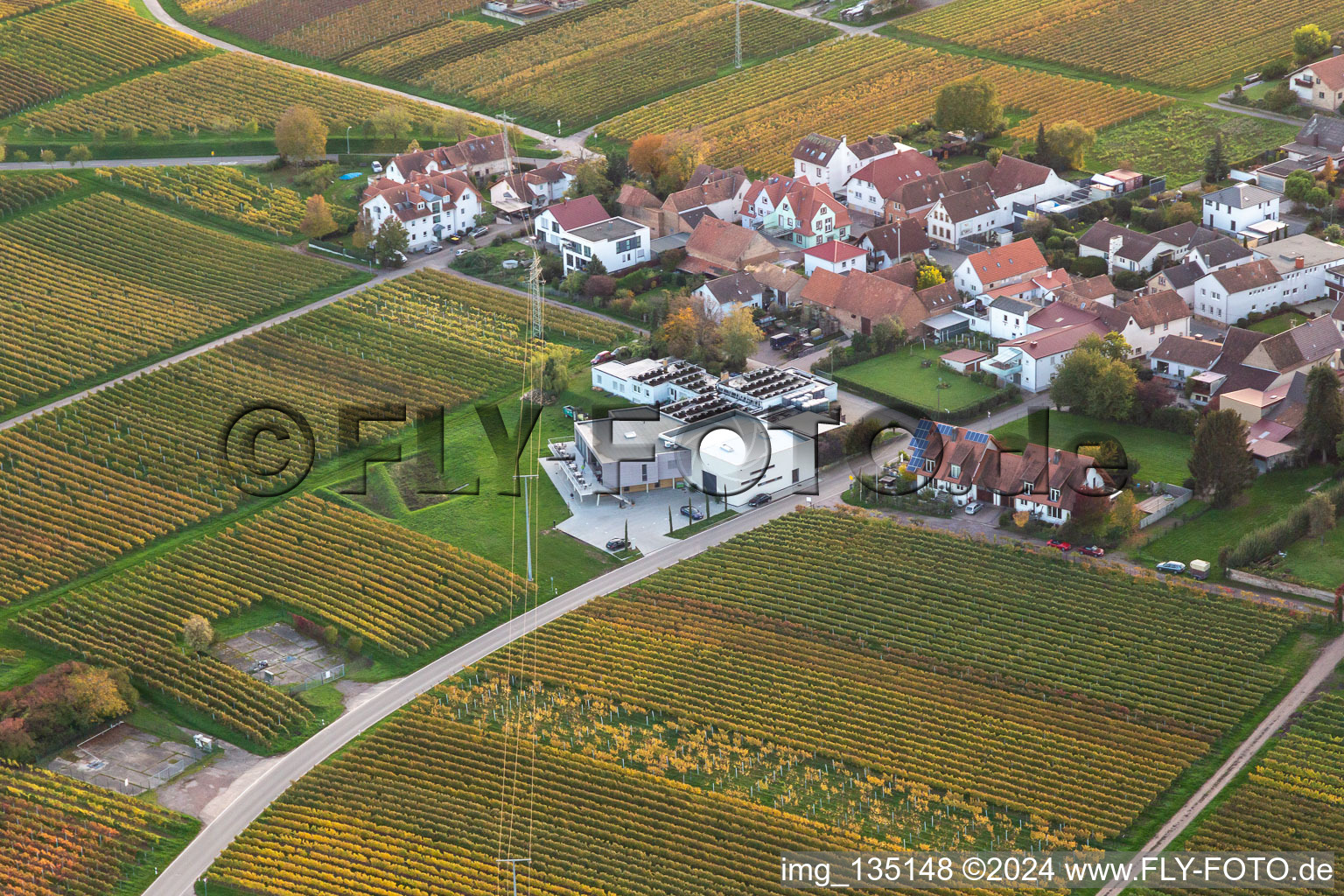 Vinotheque Weingut Sauer in Nußdorf in the district Nußdorf in Landau in der Pfalz in the state Rhineland-Palatinate, Germany