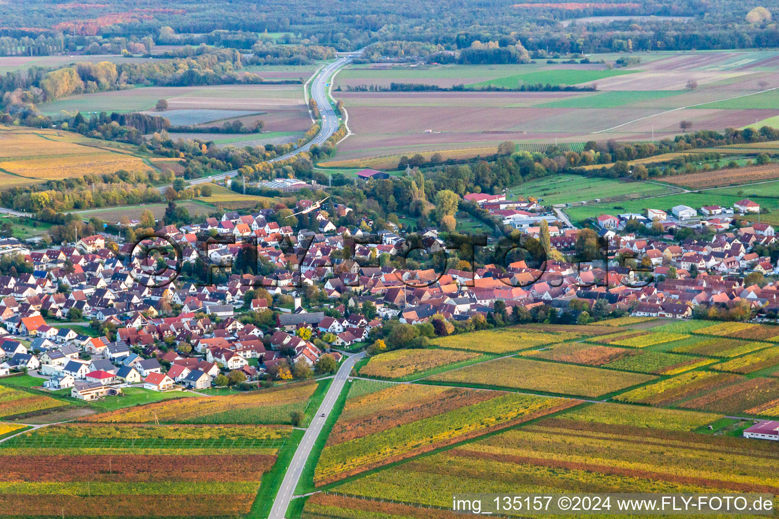 Insheim in the state Rhineland-Palatinate, Germany from a drone