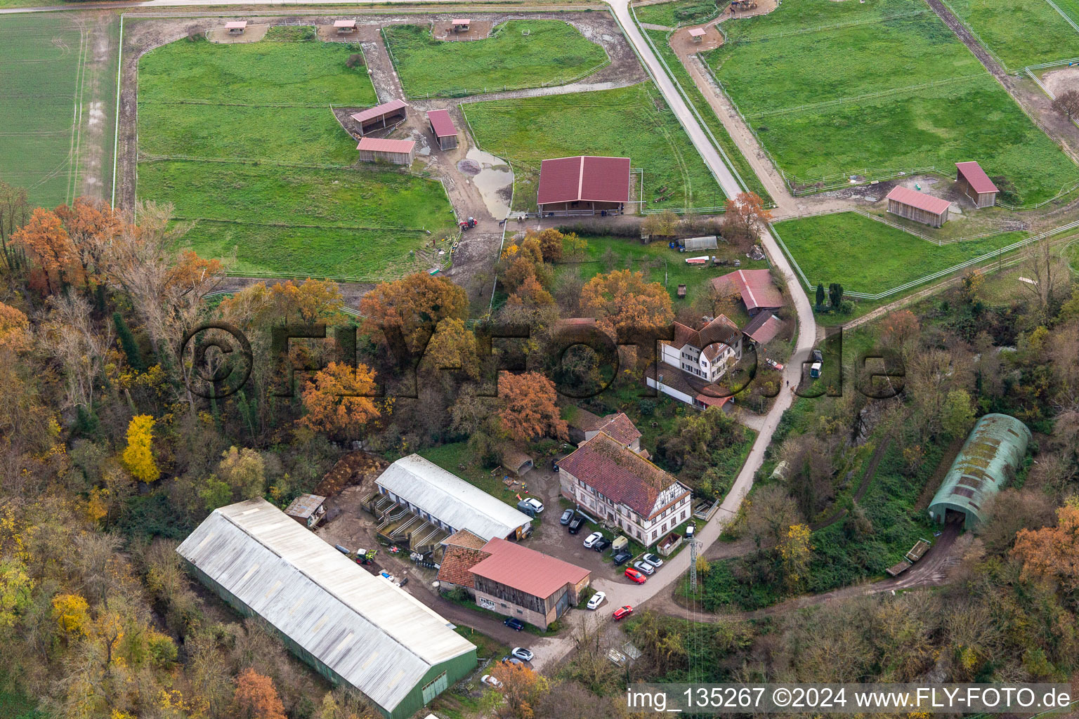 Aerial view of Wanzheim Mill in Rheinzabern in the state Rhineland-Palatinate, Germany