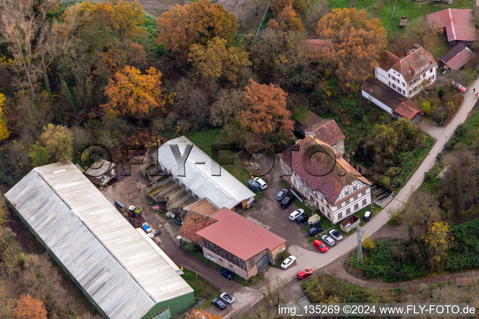 Aerial photograpy of Wanzheim Mill in Rheinzabern in the state Rhineland-Palatinate, Germany