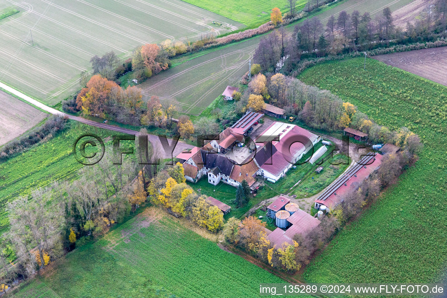 Leistenmühle on the Erlenbach in Kandel in the state Rhineland-Palatinate, Germany