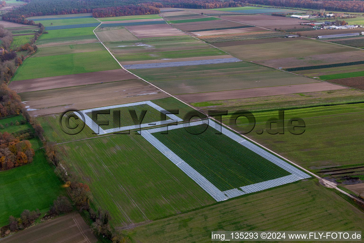 Aerial photograpy of Salad fields with foil in the district Minderslachen in Kandel in the state Rhineland-Palatinate, Germany