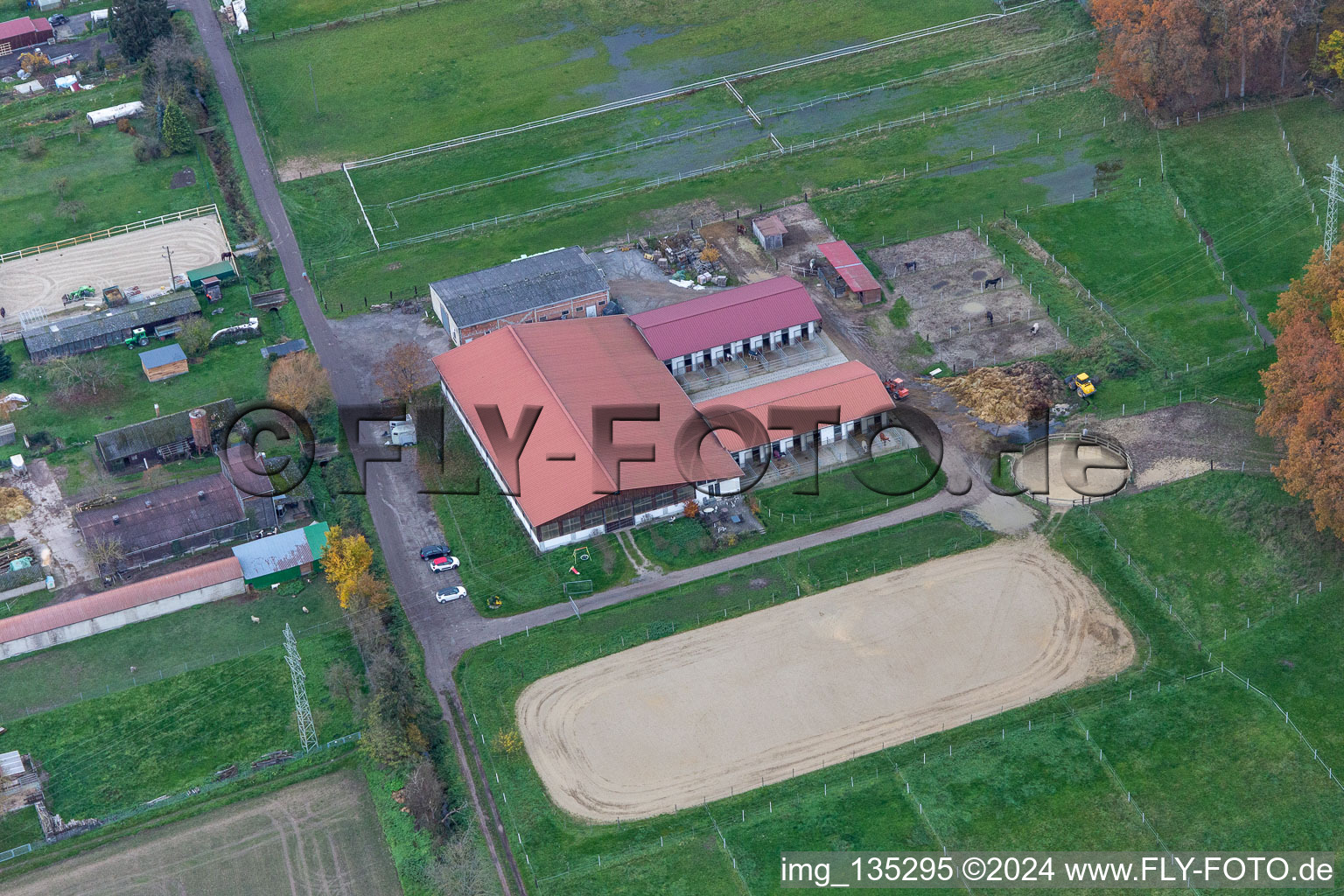 Horse farm in the district Minderslachen in Kandel in the state Rhineland-Palatinate, Germany