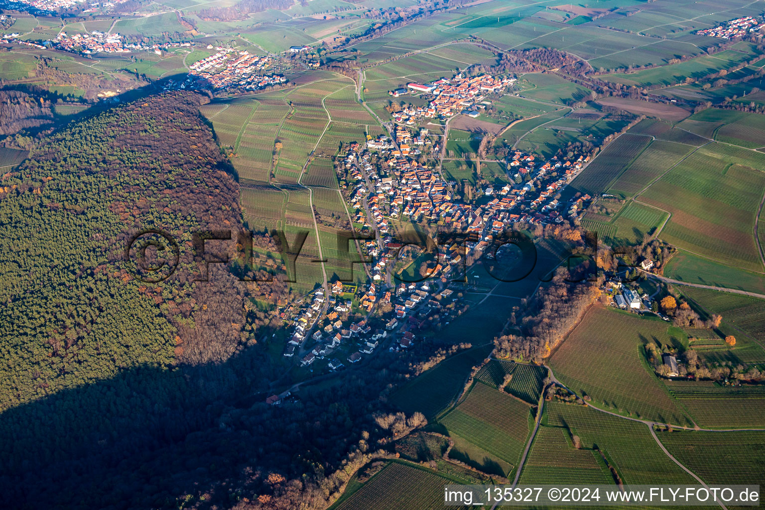 District Pleisweiler in Pleisweiler-Oberhofen in the state Rhineland-Palatinate, Germany from the drone perspective