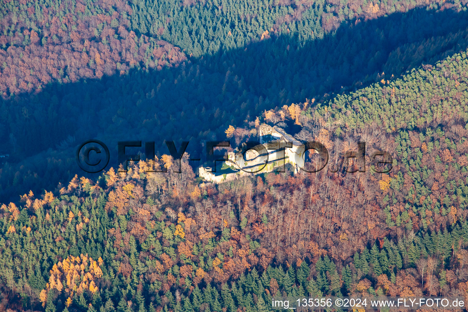 Neuscharfeneck castle ruins from the south in Flemlingen in the state Rhineland-Palatinate, Germany