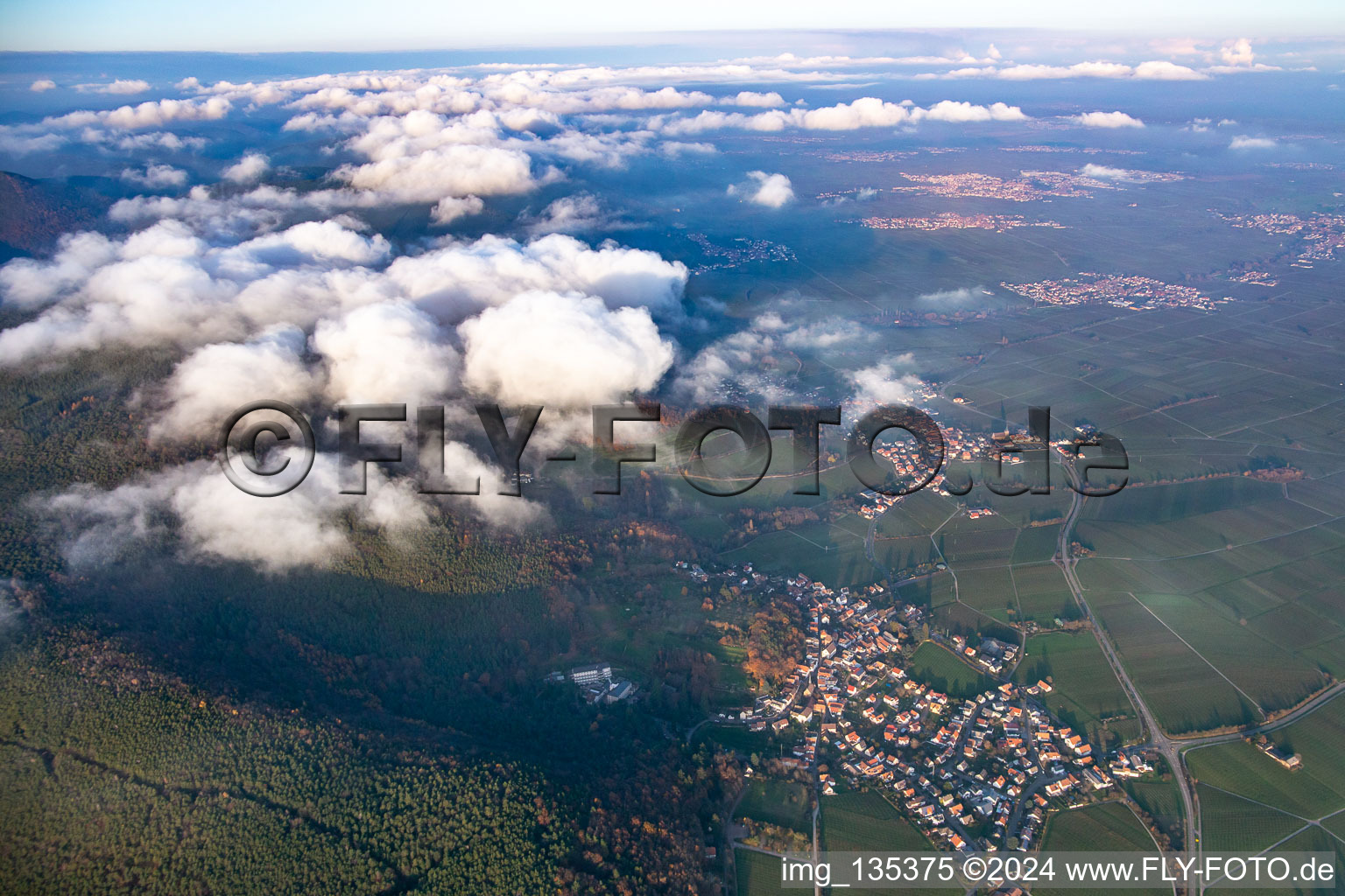 Frankweiler in the state Rhineland-Palatinate, Germany from above