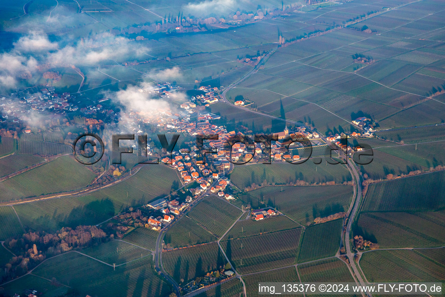 From the south in Burrweiler in the state Rhineland-Palatinate, Germany