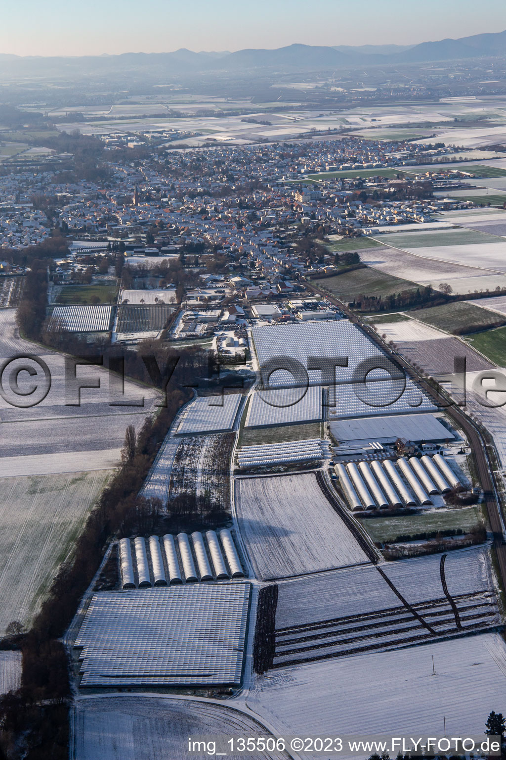 Greenhouses and foil houses in the east in winter when there is snow in the district Herxheim in Herxheim bei Landau/Pfalz in the state Rhineland-Palatinate, Germany