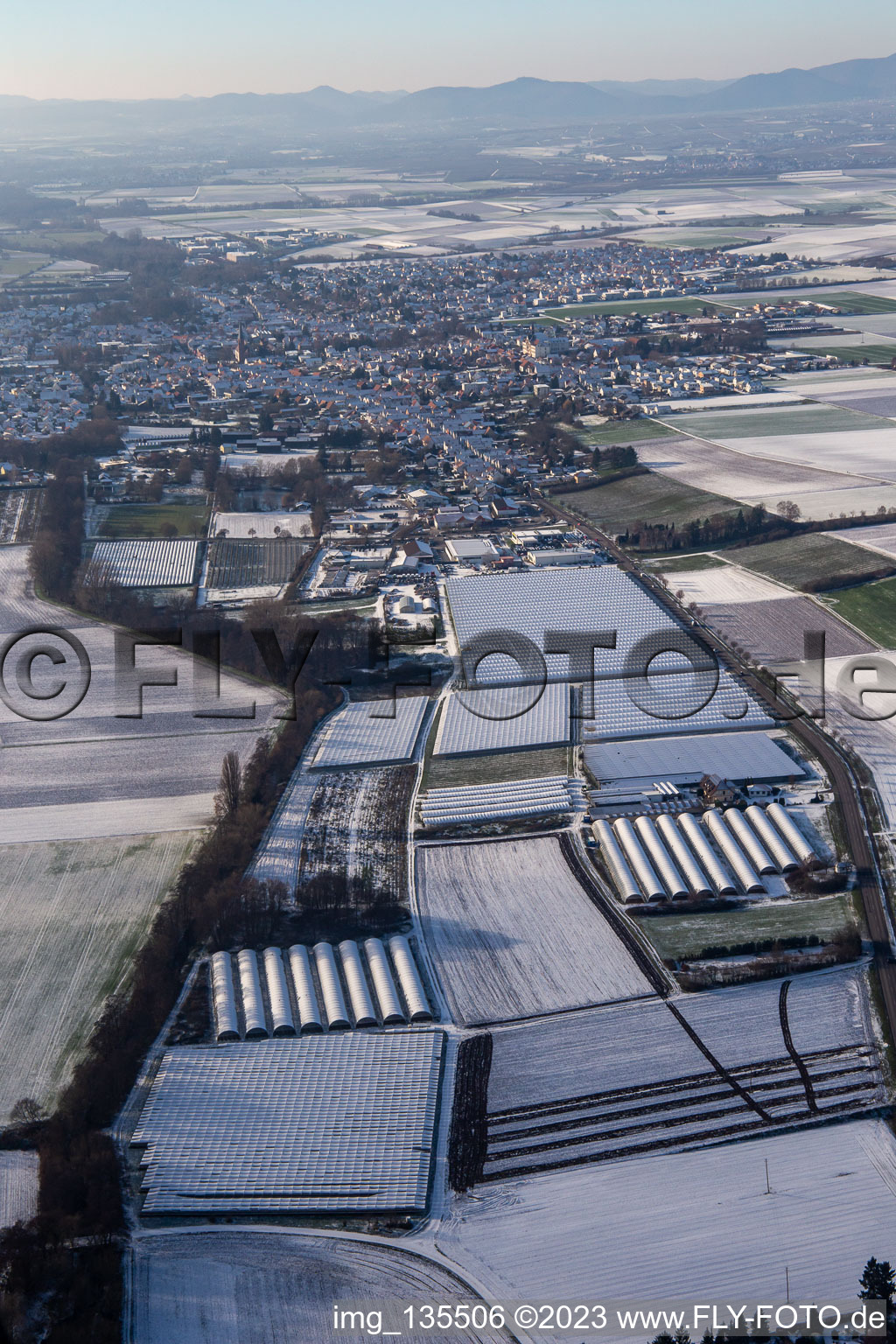 Greenhouses and polytunnels in the east in winter with snow in the district Herxheim in Herxheim bei Landau in the state Rhineland-Palatinate, Germany