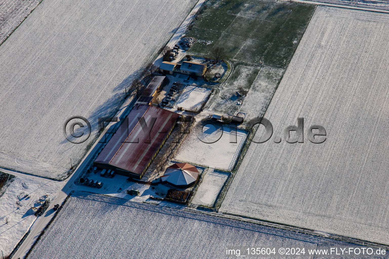 Equestrian center Fohlenhof in winter with snow in Steinweiler in the state Rhineland-Palatinate, Germany