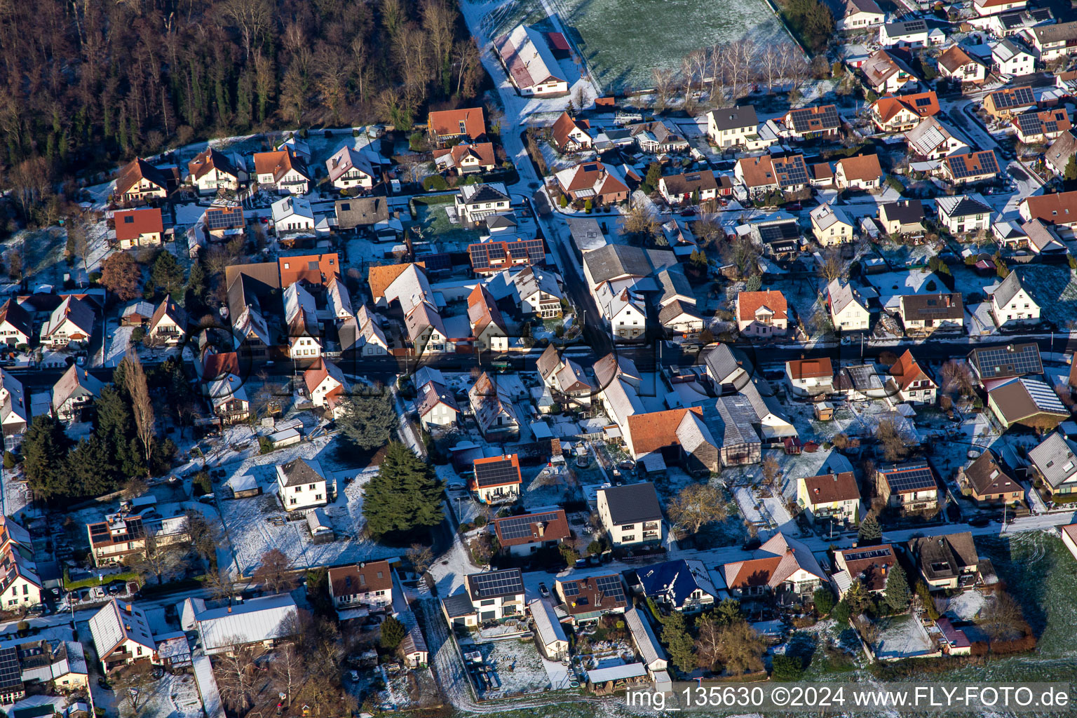 Goose hump in winter with snow in Winden in the state Rhineland-Palatinate, Germany