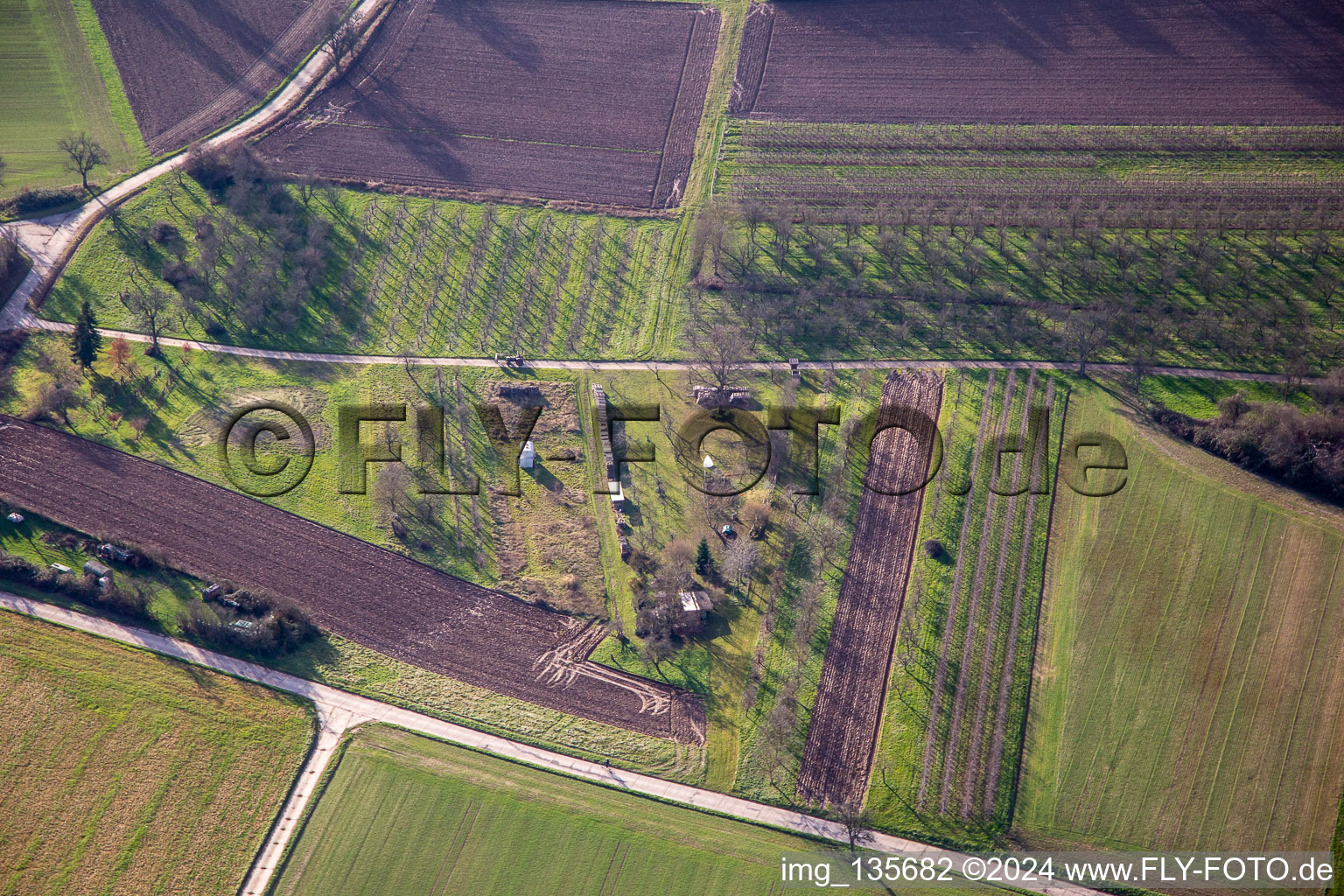 Fruit plantations at Rußbachtal in Schweighofen in the state Rhineland-Palatinate, Germany