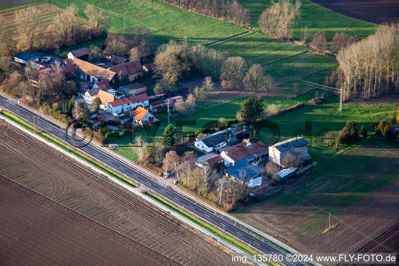 Höfen in the district Minderslachen in Kandel in the state Rhineland-Palatinate, Germany