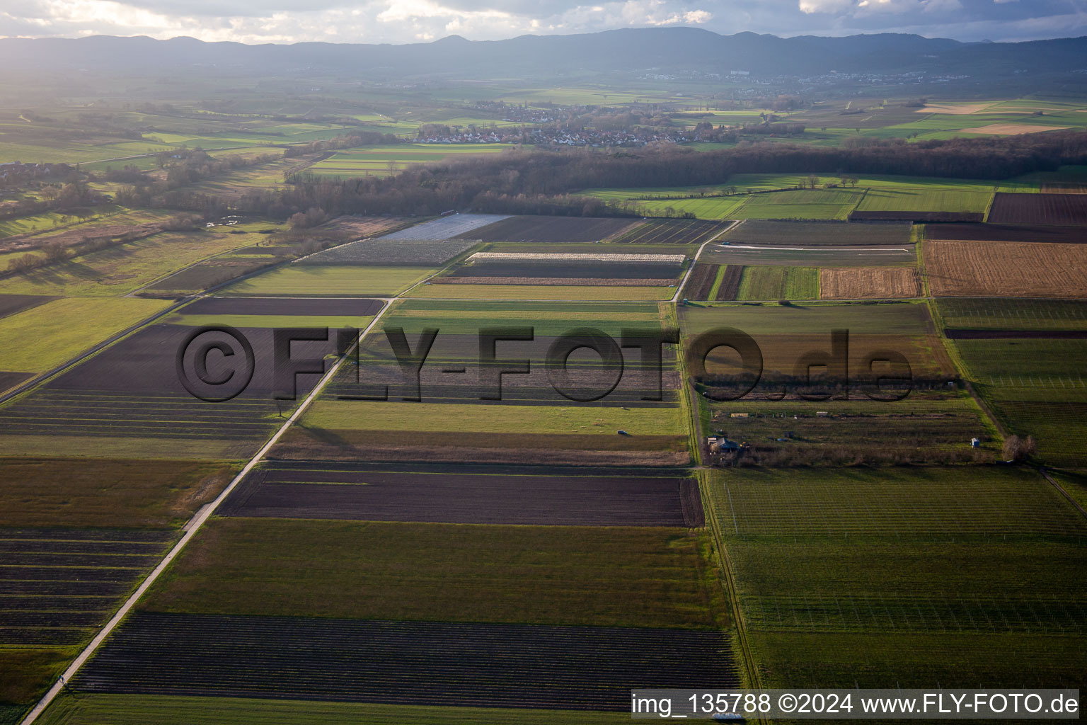 District Mühlhofen in Billigheim-Ingenheim in the state Rhineland-Palatinate, Germany from the drone perspective