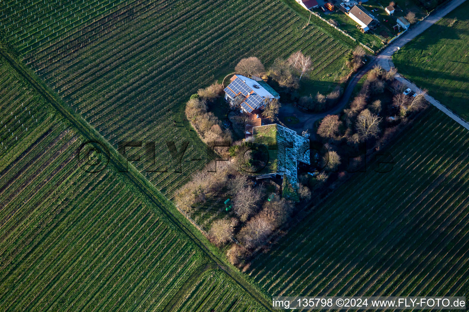 BiolandWinegrowing Under the Grass Roof in the district Wollmesheim in Landau in der Pfalz in the state Rhineland-Palatinate, Germany