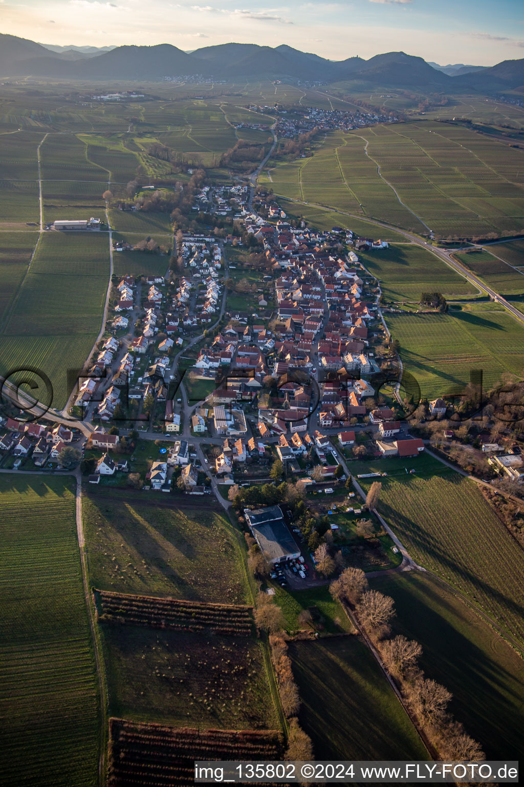 Aerial view of From the east in the district Wollmesheim in Landau in der Pfalz in the state Rhineland-Palatinate, Germany