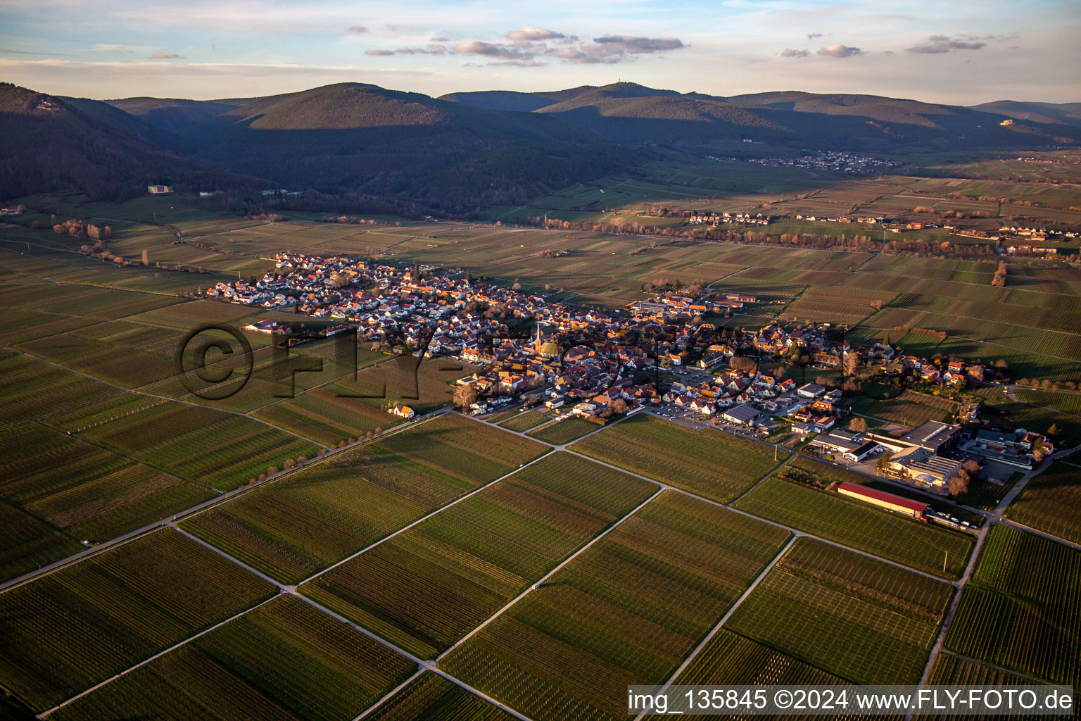 From the southeast in the district Rhodt in Rhodt unter Rietburg in the state Rhineland-Palatinate, Germany