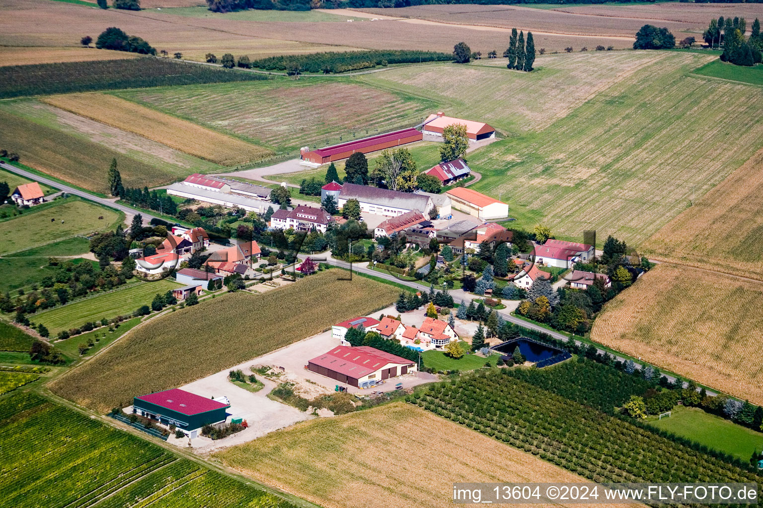 Geisberg at Riedseltz in Riedseltz in the state Bas-Rhin, France